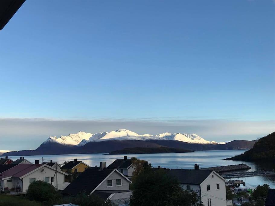 Perfect Apartment For Whale Safari At Skjervoy! Экстерьер фото